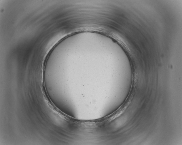 X0000087630844200705241213