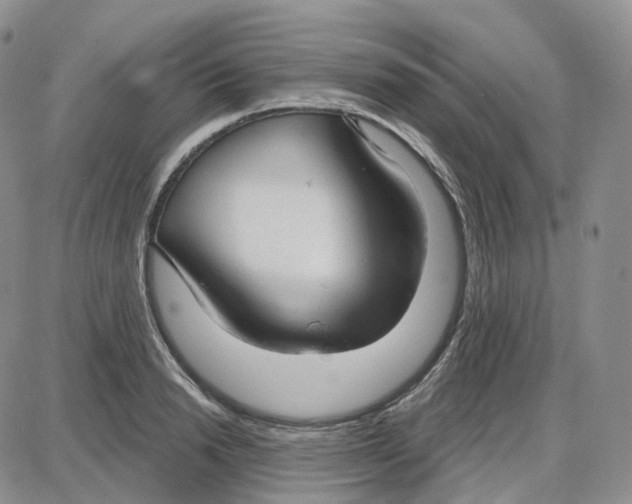 X0000087630846200705241213