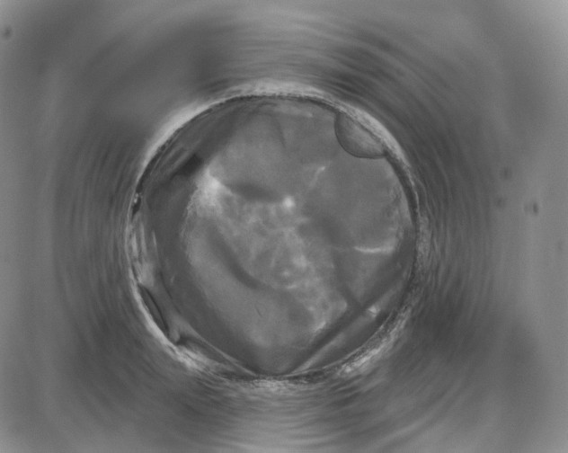 X0000087630847200705241213