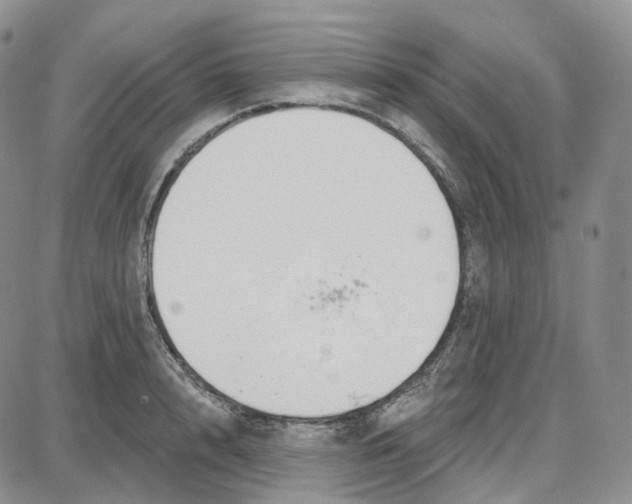 X0000087630848200705241213