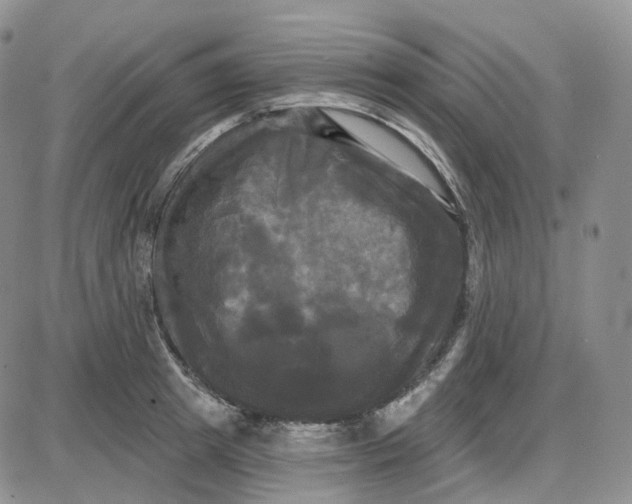 X0000087630849200705241213