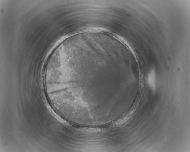 X0000087630851200705241213