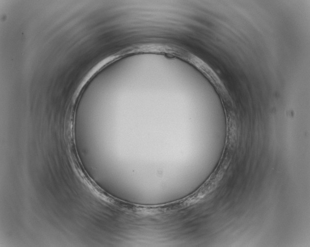 X0000087630852200705241213