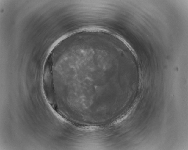 X0000087630853200705241213