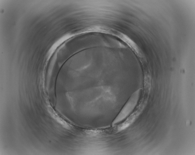 X0000087630854200705241213