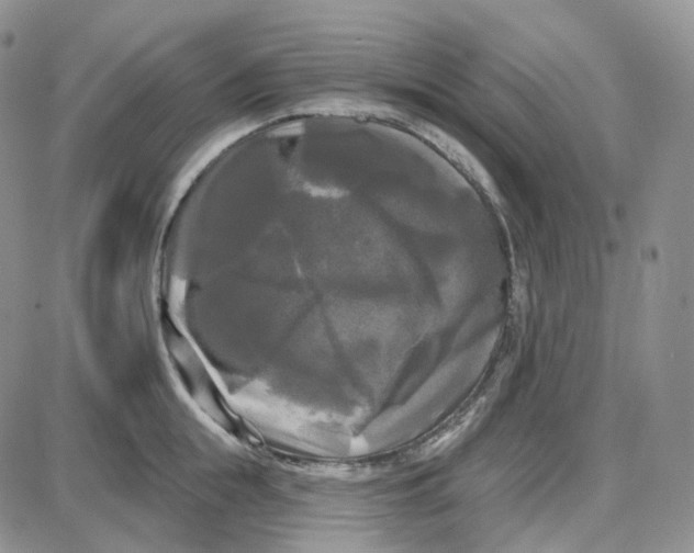 X0000087630855200705241213