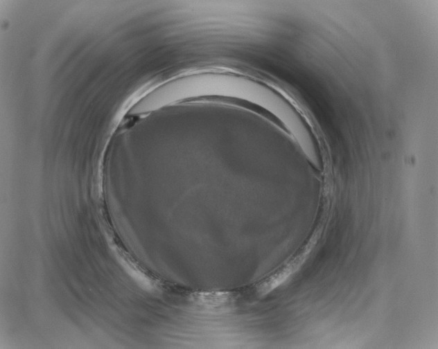 X0000087630858200705241213