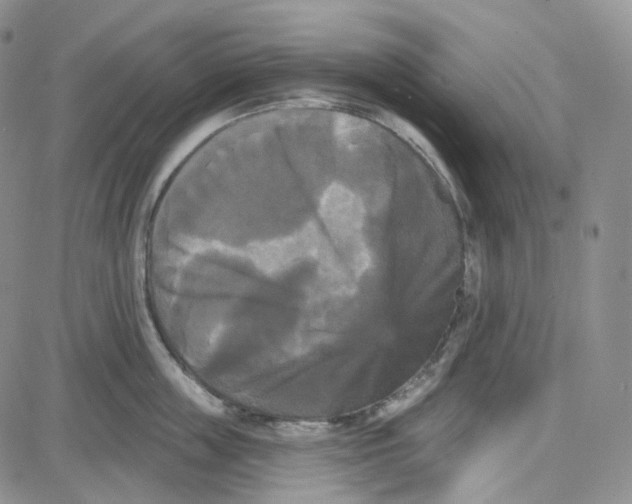 X0000087630859200705241213