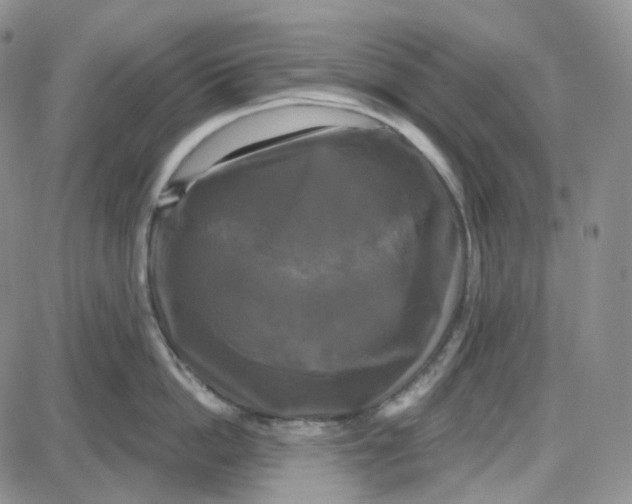 X0000087630862200705241213