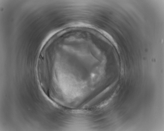 X0000087630863200705241213