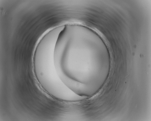 X0000087630864200705241213