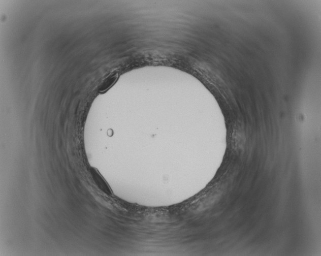 X0000087630865200705241212