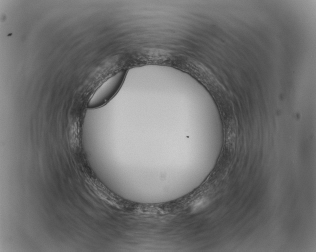 X0000087630866200705241212