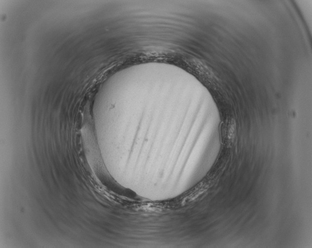 X0000087630868200705241212