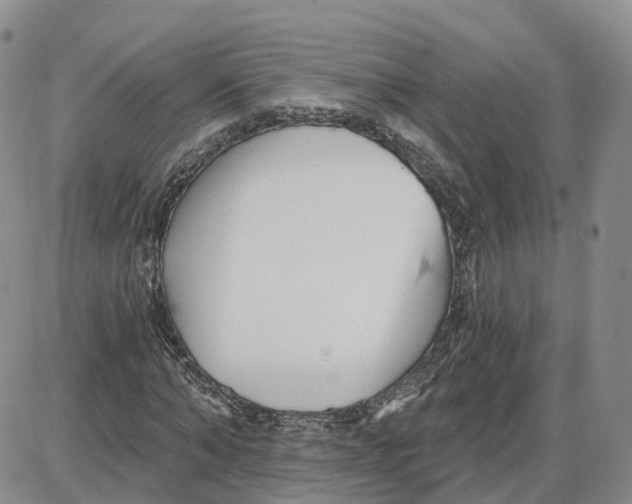 X0000087630870200705241212