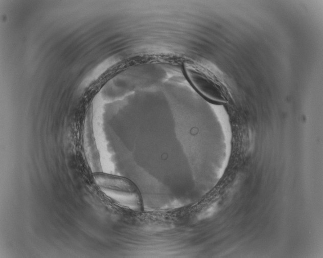 X0000087630871200705241212