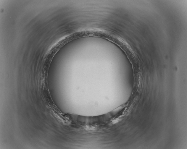 X0000087630872200705241212