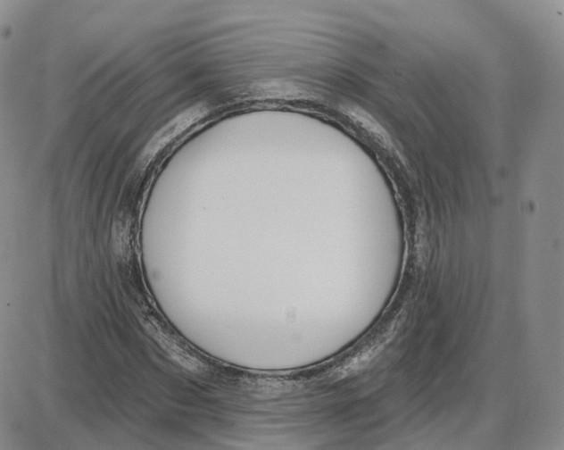 X0000087630873200705241212