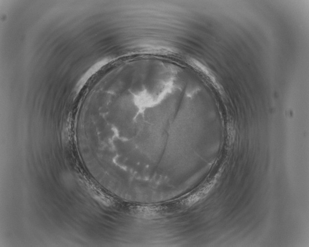 X0000087630875200705241212