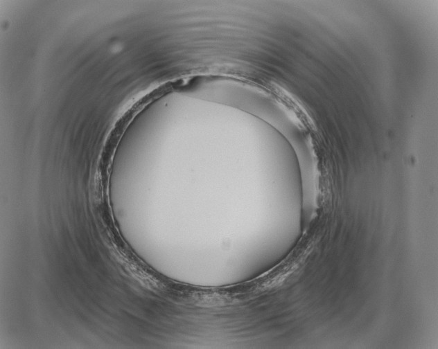 X0000087630876200705241212