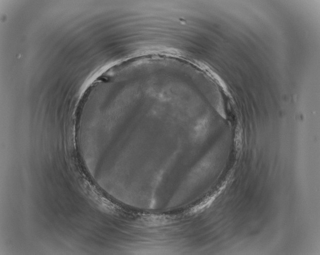 X0000087630877200705241212