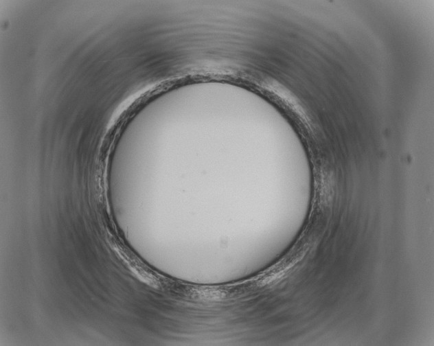 X0000087630878200705241212