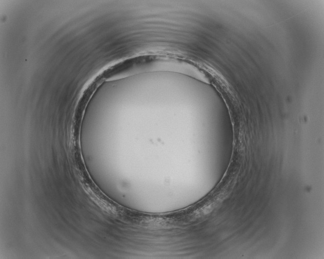 X0000087630880200705241212