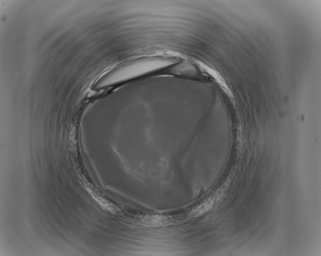 X0000087630881200705241212