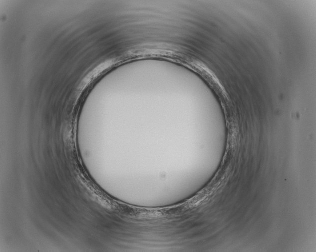 X0000087630882200705241212