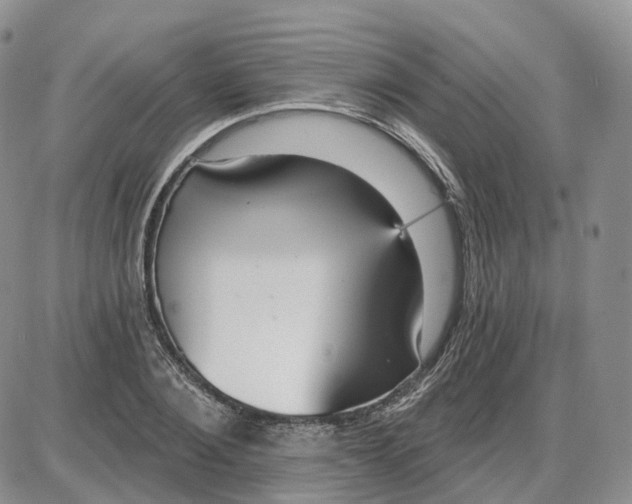 X0000087630884200705241212