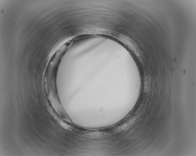 X0000087630885200705241212