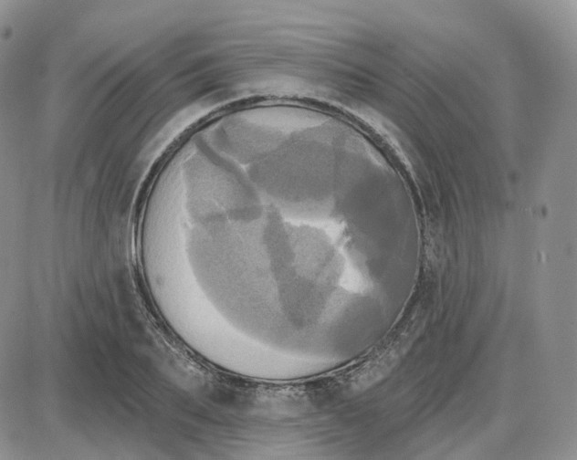 X0000087630887200705241212