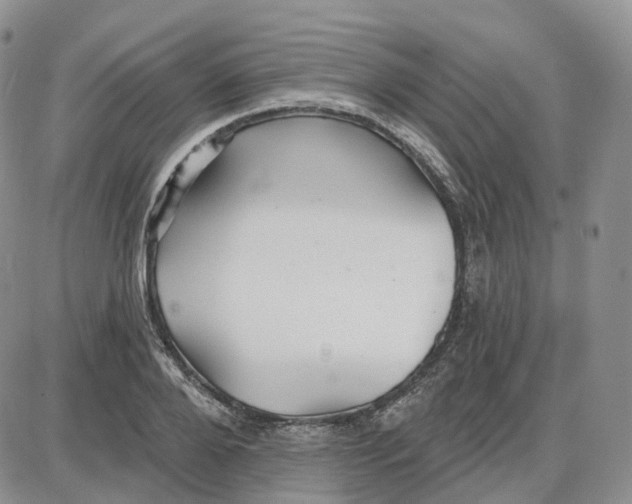 X0000087630888200705241212