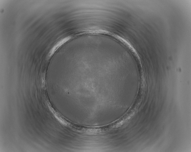 X0000087630889200705241212