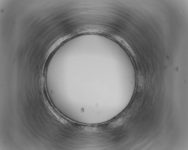 X0000087630890200705241212