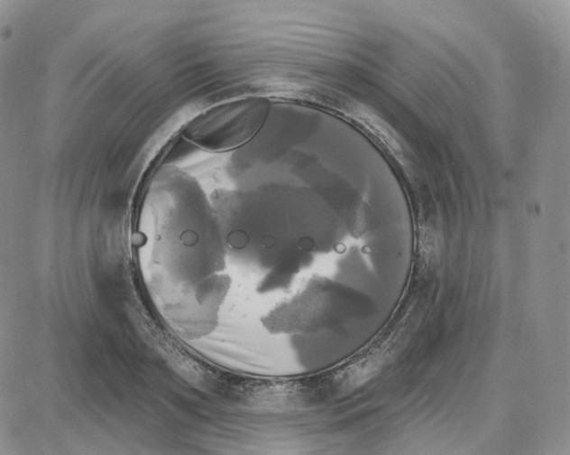 X0000087630891200705241212