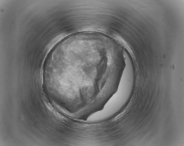 X0000087630892200705241212