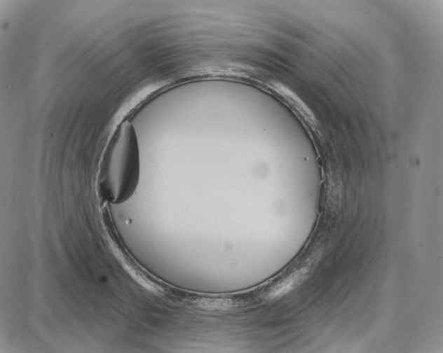 X0000087630893200705241212