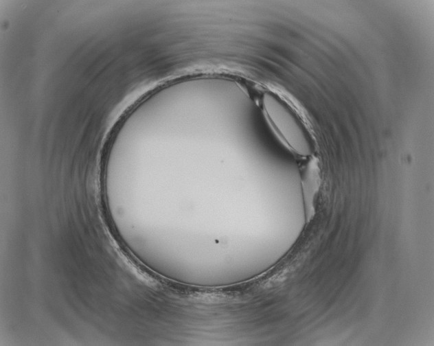 X0000087630894200705241212