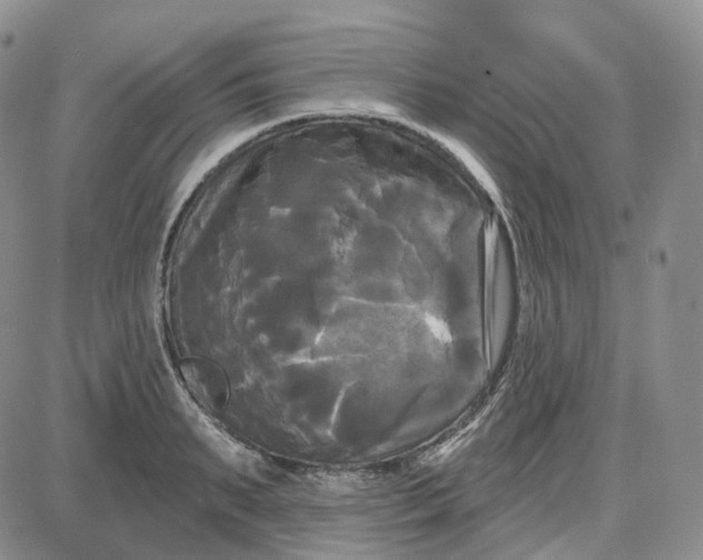 X0000087630895200705241212