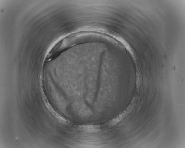 X0000087630896200705241212