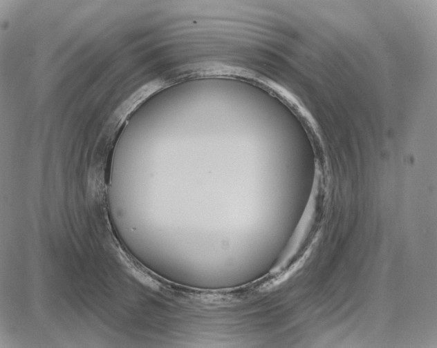 X0000087630897200705241212