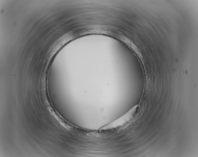 X0000087630898200705241212