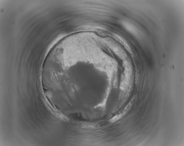 X0000087630899200705241212