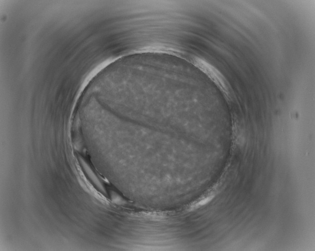 X0000087630900200705241212