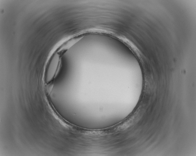 X0000087630902200705241212