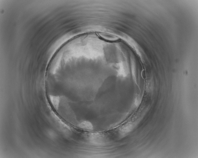 X0000087630903200705241212