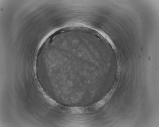 X0000087630904200705241212