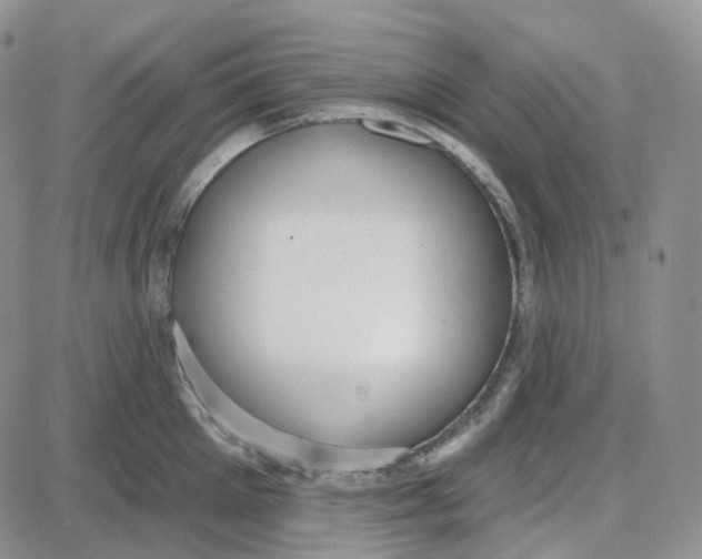 X0000087630905200705241212