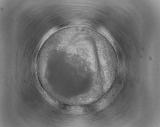 X0000087630907200705241212